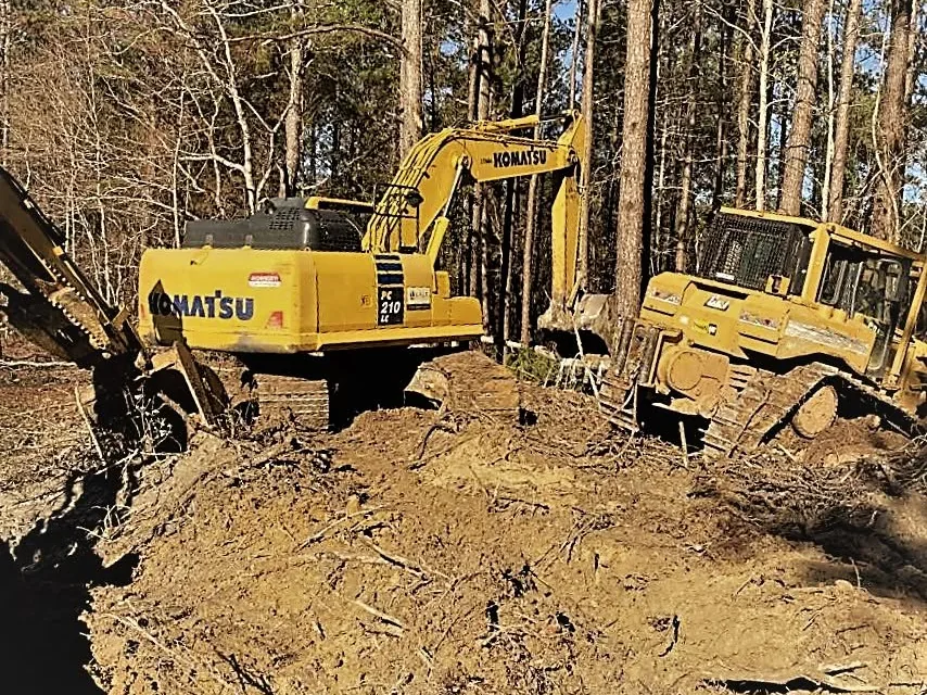 Excavator and crawler dozer clearing and digging among tall pines, excavation and dirt work
