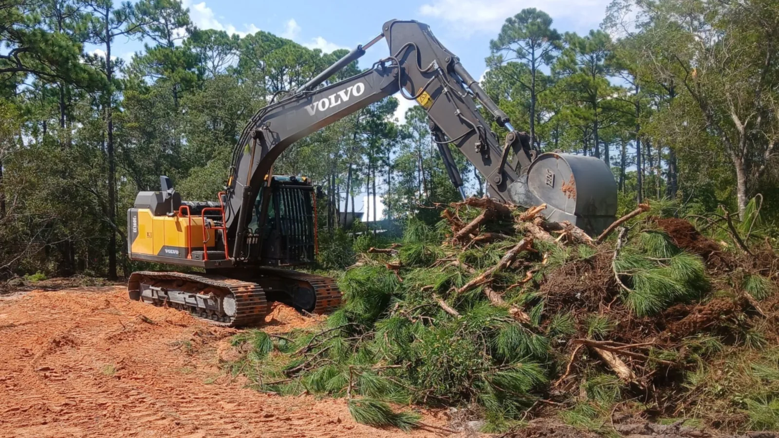 Excavator piling cleared pine brush on red sandy clay with tall pines behind, land clearing