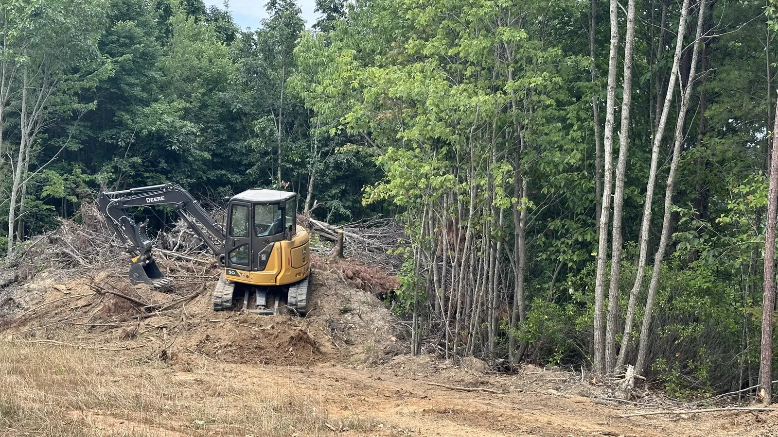 Land clearing in Jackson, AL