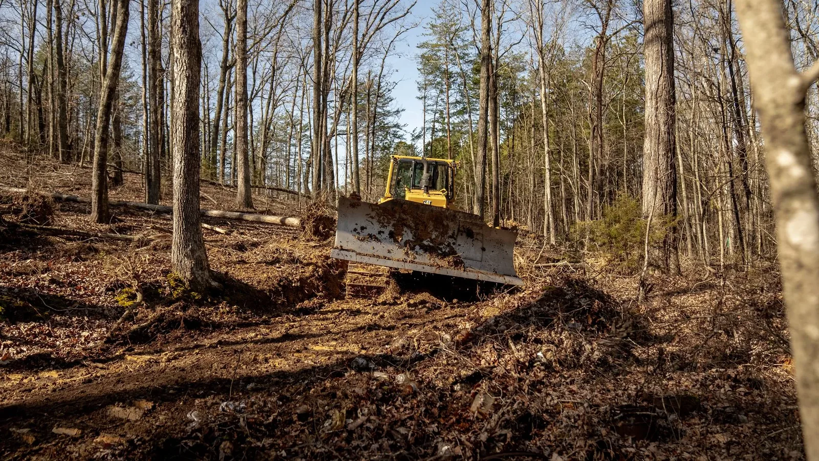 Land clearing in Meridian, MS